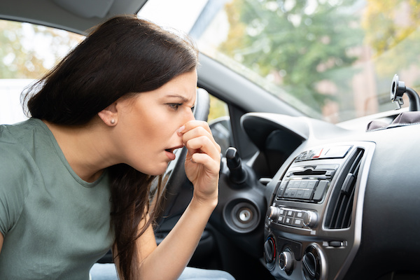 Why Are My Car Vents Blowing Smelly Air?