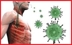Germs Images