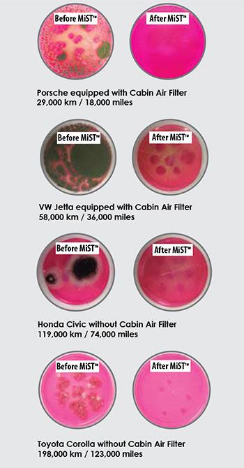 Germs Image